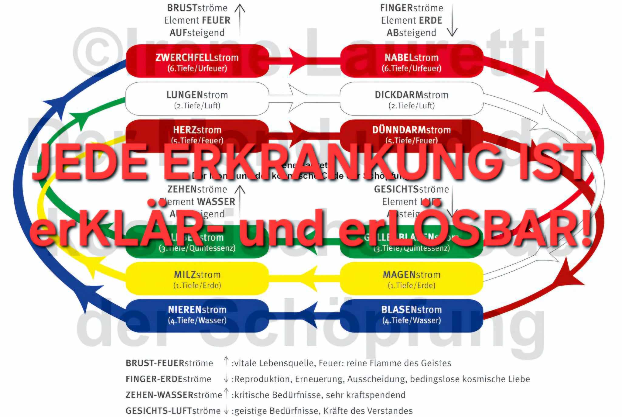 Read more about the article (Deutsch) JEDE ERKRANKUNG ist erKLÄR- und erLÖSBAR!